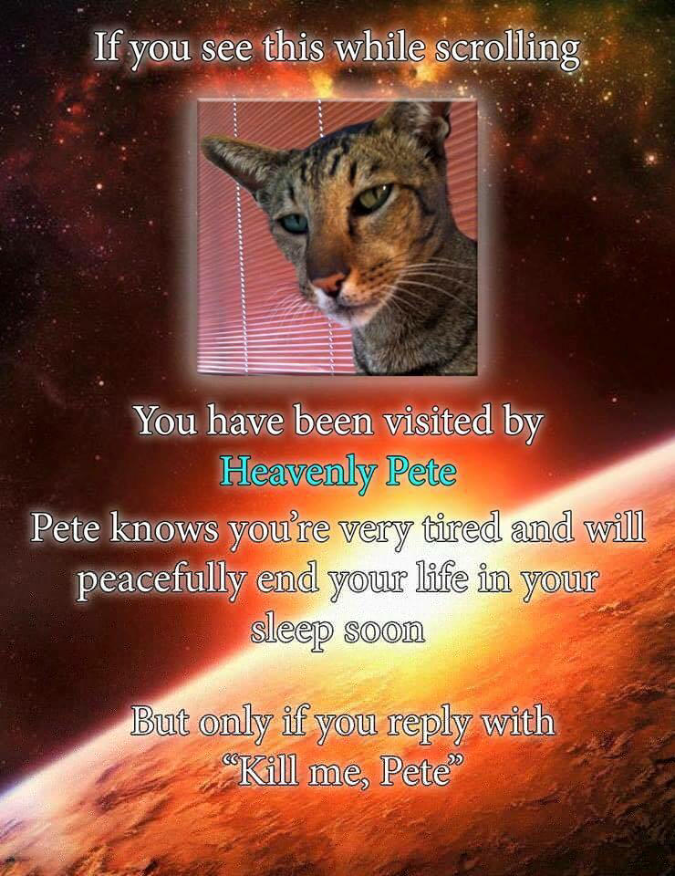 heavenly pete.jpg